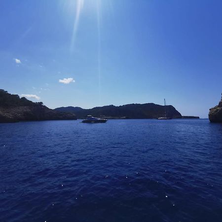 Charmant Appartement De Vacances Au Coeur D'Argeles Εξωτερικό φωτογραφία
