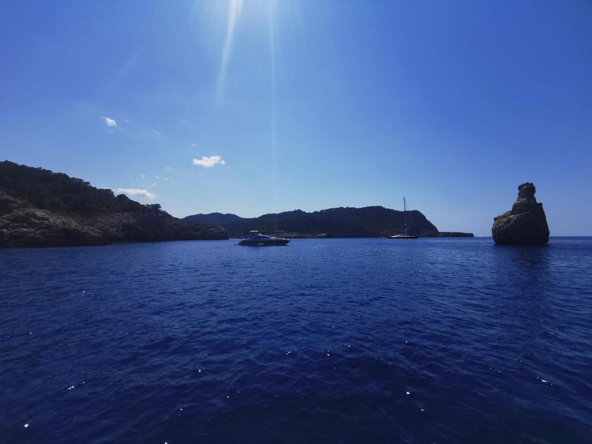 Charmant Appartement De Vacances Au Coeur D'Argeles Εξωτερικό φωτογραφία