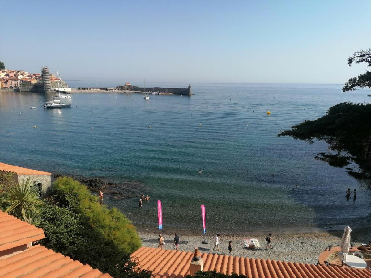 Charmant Appartement De Vacances Au Coeur D'Argeles Εξωτερικό φωτογραφία