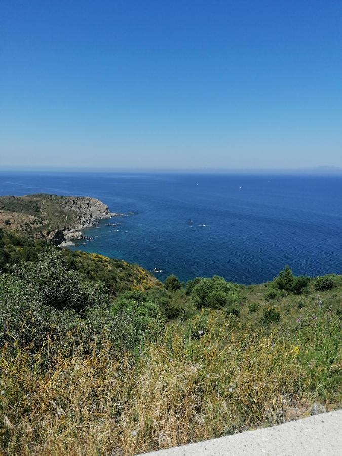 Charmant Appartement De Vacances Au Coeur D'Argeles Εξωτερικό φωτογραφία